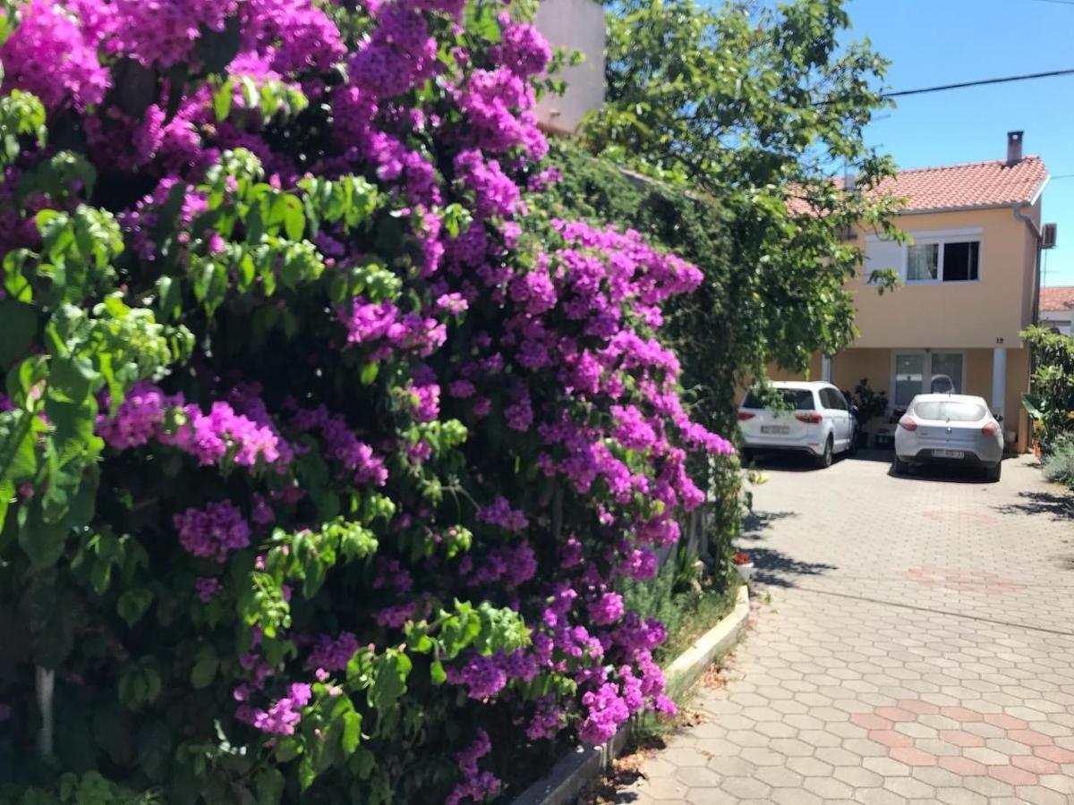 Lipo Je Daire Zadar Dış mekan fotoğraf